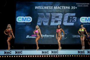 WELLNESS МАСТЕРА +35